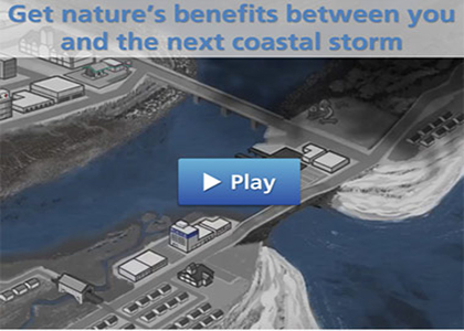 Screenshot of the Green Infrastructure Animation