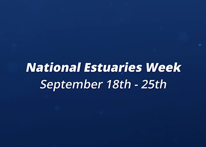 Screenshot of the Estuaries Week
